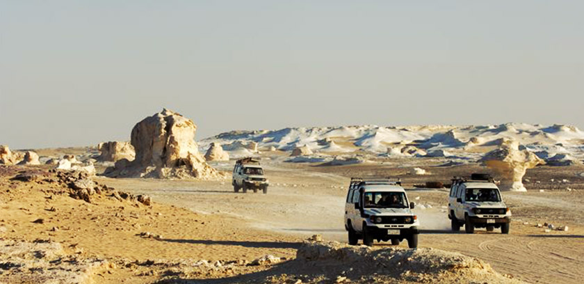 3-Safari-in-siwa-oasis
